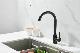 S/S 304 Stainless Steel Kitchen Faucet Stainless Steel Faucet Matte Black Tap