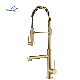  Golden Kitchen Faucet Spring Pull Down Dual Outlet Spouts 360 Swivel Handheld Shower Kitchen Mixer