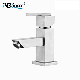 Machining Stainless Steel Handle Square Tube Basin/Sink/Mixer/Kitchen Faucet