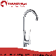 35mm Single Handle Simple Style Kitchen Sink Mixer (ZS61518)