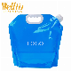  Hot Sale Clear Storage Plastic Doypack Foldable Portable 4L 5 Liter Drinking Containers Packaging Spout Pouch Water Bag