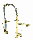 Innada Yinada Brass Spring Pull Down Kitchen Sink Mixer Faucet Fixture Plumbing with Gold Brass Sprayer Na021g