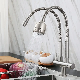 Zb6181 High Quality Stainless Steel Double Pipe Kitchen Faucet