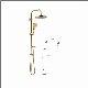 Rainparty Watermark Brushed Gold Brass Diverter Handshower Slider Headshower Shower Set manufacturer