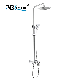 Ablinox Stainless Steel Sanitary Ware Shower Set manufacturer