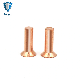 Top Quality Copper Flat Head Solid Rvets for Leathercraft