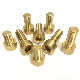  6.8 Grade CNC Knurled Brass Copper Socket Bolt Screw Hex Head DIN321 M6 M8
