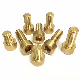 6.8 Grade CNC Knurled Brass Copper Socket Bolt Screw Hex Head DIN321 M6 M8