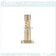 Solid Rivet Witout Thread Pins Brass Copper Steel Rivets Square Head Knurled