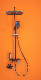 Shower Set 4 Function Shower Fixture with 12in Rainfall Shower Head Handheld