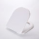  Short Length White D Shape Urea Wc Toilet Lid Sanitary Ware for Home Use