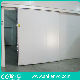 Automatic Refrigeration Storage Freezer Room Sliding Door manufacturer