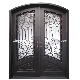  Popular America with Mosquito Net Open Glass Double Front Entry Security Wrought Iron Metal Steel Gate Door