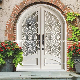 Outside Front Door with Eyebrow Double Single Wrought Iron Steel Design for Selling