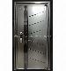 Modern Single Swing Stainless Steel Security Door for Indoor Home Zf-Ds-047