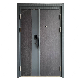 High Quality UV Proof Iron Door Designs Ukraine Steel Industrial Door with Aluminum Stripes manufacturer