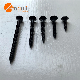 Hardware Fittings High Strength Plus Hard Dry Wall Nails manufacturer