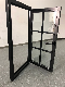 Classical Style Wrought Iron Glass Window manufacturer