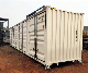 Brand New 40hq Storage Container Side Door Opening for Sale with Csc