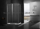 Popular Item Flat Pivot Door with Side Panel Shower Enclosure