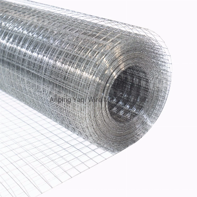 1/2" 3/4" Hot DIP Galvanized Welded Wire Mesh Bird Cage Mesh Rabbit Mesh Roof Mesh for Agriculture