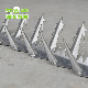 Stainless Steel Barbed Wire Razor Wire / Wall Spike