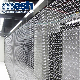  Stainless Steel Architectural Ring Mesh Used for Screen