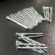  Hot Sale Hot Dipped Galvanized Square Boat Nails Made in China