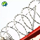  Factory Direct Price Dependable Performance Straight Flat Razor Barbed Wire