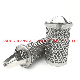  10 Micron Stainless Steel 316L Basket Filter Element