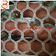  Filter Screen/PP White Plastic Flat Screen/ Poultry Keeping Mesh Chicken/Duck