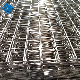 Galvanized Welded Wire Mesh for Concrete Wire Mesh with SGS Certificate