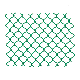 Hot DIP Galvanized 3.0mm Diamond Mesh Fence for Sale manufacturer