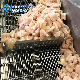  High Temperature Corrosion Stainless Steel Meat Mesh Conveyor Belt