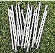  Best Price Common Nails/Concrete Steel Nail /Iron Nail/Polished Wire Nail/Common Round Nails/Metal Nails/Wood Nai