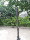  OEM Wholesale Aluminum Metal Fence Square Post for Fencing and Door