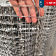 Galvanized Welded Wire Mesh PVC Coated Rabbit Wire Mesh Hardware Cloth 19guage Square Chicken Wire Poultry Netting Fence
