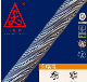 6X29f 8~120mm Cable Galvanized or Ungalvanized Steel Wire Rope for Truck Cranes Lifting