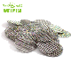  10 Micron Stainless Steel Wire Cloth Filter Mesh Screen