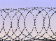 Barbed Concertina Fencing Wire Razor Wire