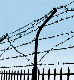 Hot Dipped Galvanized Fencing Coil Barbed Wire Iron Wire Low Price