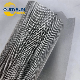  500X3500 Mesh 1um SUS316L Woven Micron Stainless Mesh Filter Clot