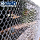 Chain Link Fence of China Factory