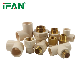  Ifan Manufacturers Brass Insert PVC Fitting Custom CPVC Fittings