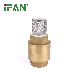 Ifan Brass Ball Valve Cw617brass Materials Check Valve