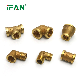  Ifan Manufacturer NPT Plumbing Fitting Brass Tube Connector Brass Fittings