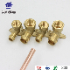 Socket Female Nipple Hex Socket Brass Plumbing Dzr Brass Copper Fitting manufacturer