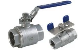 Stainless Steel 316/304 2PC Ball Valve with Locking Device