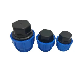 PE Blue End Cap Used for Sealing The End of Hard Pipes manufacturer