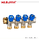 High-Quality Eurocone Standard Brass Manifolds